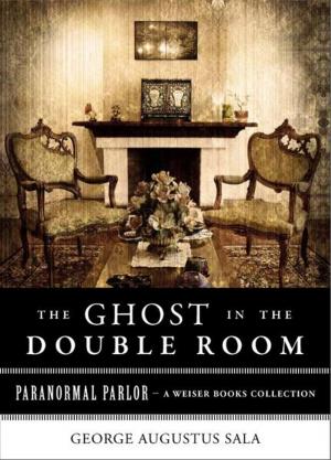 Book cover of Ghost in the Double Room