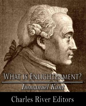 Book cover of What is Enlightenment?