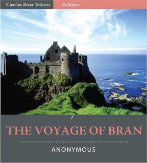 Cover of the book The Voyage of Bran (Illustrated Edition) by Alexander Hamilton, James Madison & John Jay
