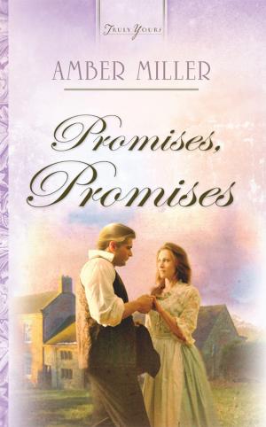Cover of the book Promises, Promises by Rachel St. John-Gilbert