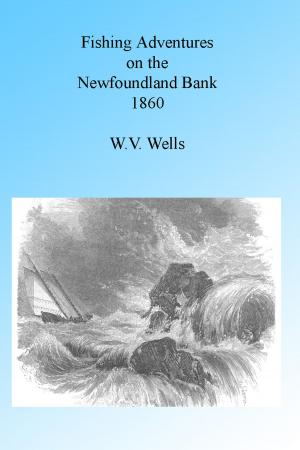 Cover of the book Fishing Adventures on the Newfoundland Banks 1860 by Adrian J Ebell