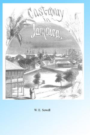 Cover of Castaway in Jamaica, Illustrated.