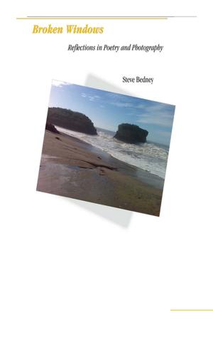 Cover of the book Broken Windows: Reflections in Poetry and Photography by Sandra Sellani, Susan Sellani