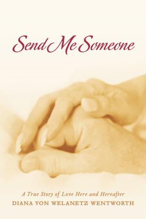 Book cover of Send Me Someone