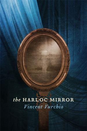 Cover of the book The Harloc Mirror by Brandon Bruce
