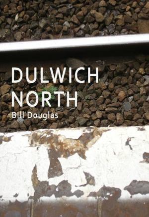 Cover of the book Dulwich North by Richard Sanders