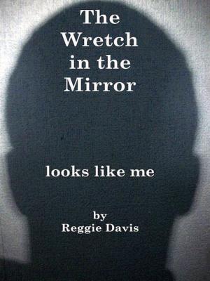 Cover of the book The Wretch in the Mirror by Kimmy Brooke