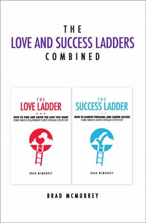 Book cover of The Love and Success Ladders Combined