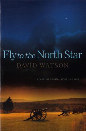 Cover of the book Fly To The North Star by Rich Siegel