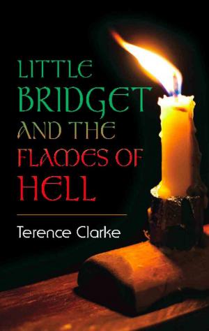 Cover of the book Little Bridget and The Flames of Hell by Samia Mary Zumout