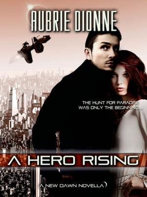 Cover of the book A Hero Rising by Elizabeth Otto