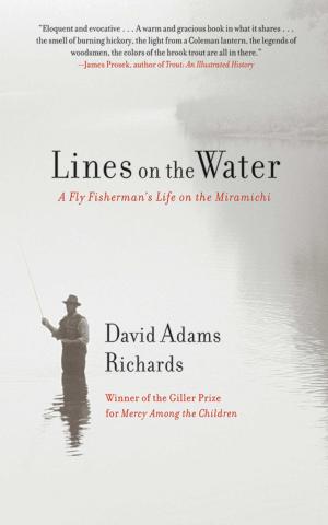 Book cover of Lines on the Water