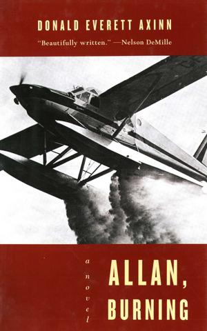 Cover of the book Allan, Burning: A Novel by Judas Wilkinson