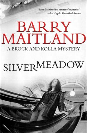 Cover of the book Silvermeadow by 