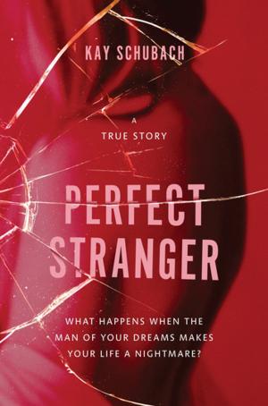Cover of the book Perfect Stranger: A true story of desire and obsession by Saskia Adams