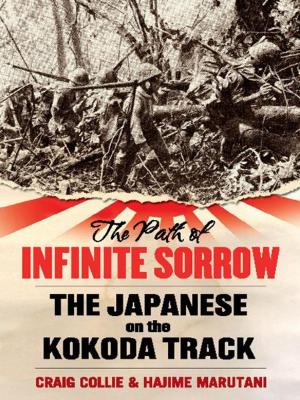 Book cover of The Path of Infinite Sorrow