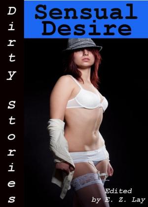 Book cover of Dirty Stories: Sensual Desire, Erotic Tales
