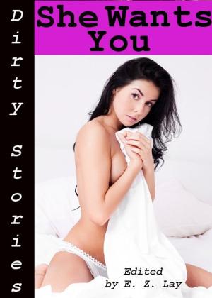 Book cover of Dirty Stories: She Wants You, Erotic Tales