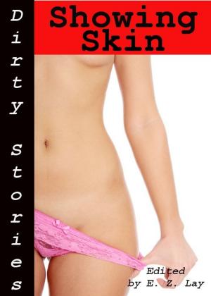 Book cover of Dirty Stories: Showing Skin, Erotic Tales