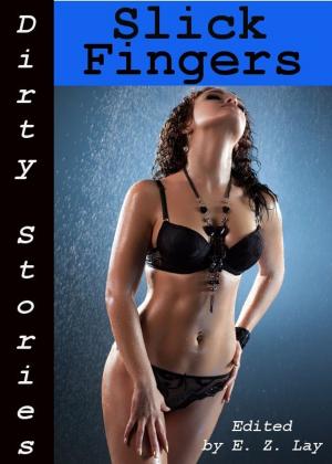 Book cover of Dirty Stories: Slick Fingers, Erotic Tales