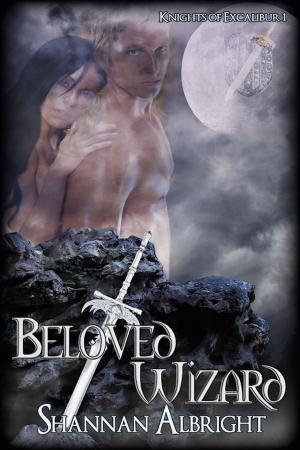 Cover of the book Beloved Wizard by Jackie Nacht