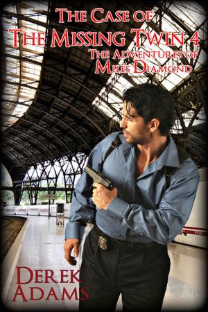 Cover of the book The Case of the Missing Twin 4 by D. J. Manly