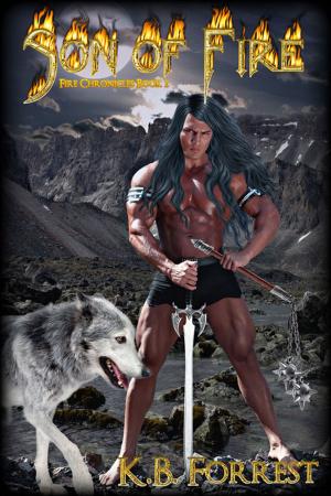 Cover of the book Son of Fire by M. Garnet
