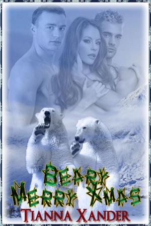 Cover of the book Beary Merry Christmas by Jeff Erno