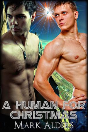 Cover of the book A Human for Christmas by Catherine L. Byrne