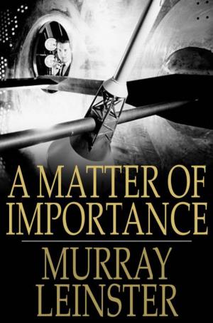 Cover of the book A Matter of Importance by Kathleen Norris