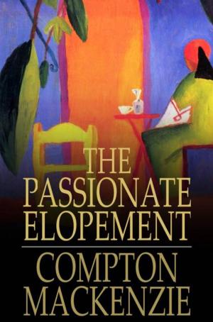 Cover of the book The Passionate Elopement by Regina Tittel