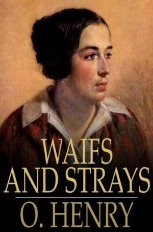 Cover of the book Waifs and Strays by Christopher Kellen