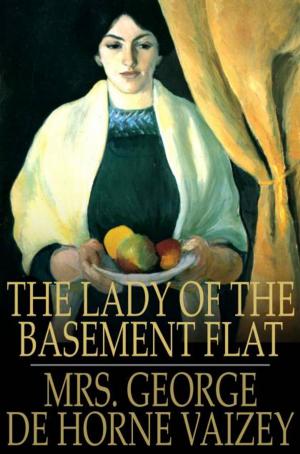 Cover of the book The Lady of the Basement Flat by Gustave Aimard