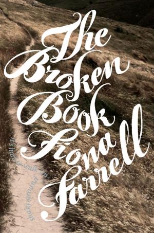 Cover of the book The Broken Book by Roberto Rabel