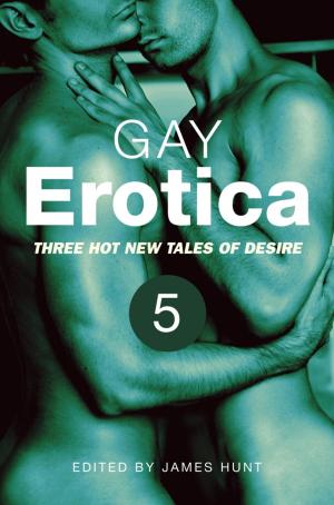 Book cover of Gay Erotica, Volume 5