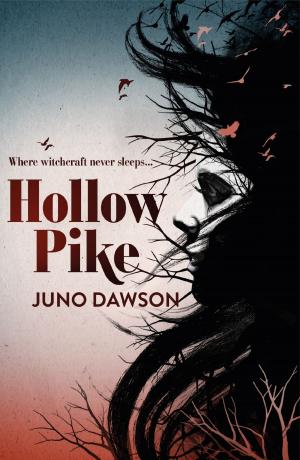 Cover of the book Hollow Pike by Cressida Cowell