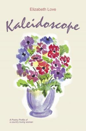 Cover of the book Kaleidoscope by Janet Anderson