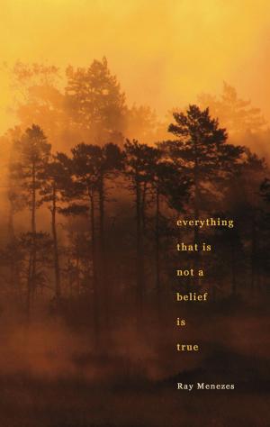 bigCover of the book Everything That is Not a Belief is True by 