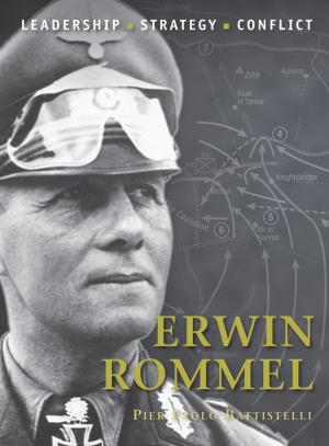 Book cover of Erwin Rommel