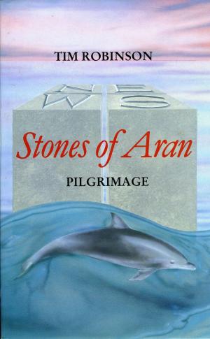 Cover of the book Stones of Aran: Pilgrimmage by John Montague