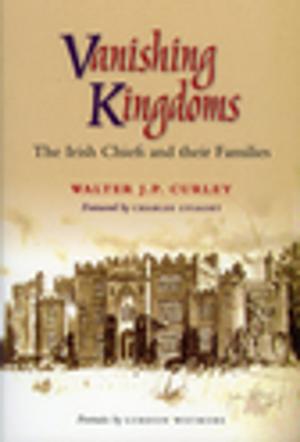 Cover of the book Vanishing Kingdoms by David Fine
