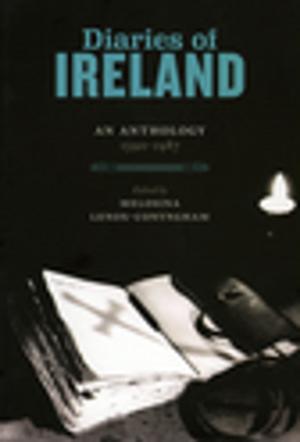 Cover of the book Diaries of Ireland by Richard Murphy