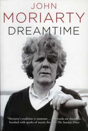 Cover of the book Dreamtime by 