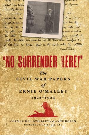 Cover of the book No Surrender Here! by Anne M. Brady, Cleeve Brian