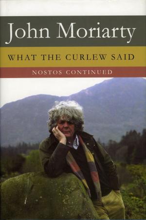Book cover of What the Curlew Said