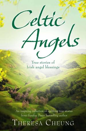Book cover of Celtic Angels