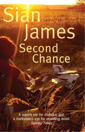 Cover of the book Second Chance by Carolyn Jess-Cooke