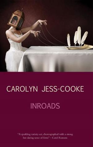 Cover of the book Inroads by Cynan Jones