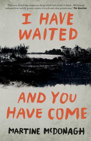 Cover of the book I Have Waited, and You Have Come by William Lynes, MD