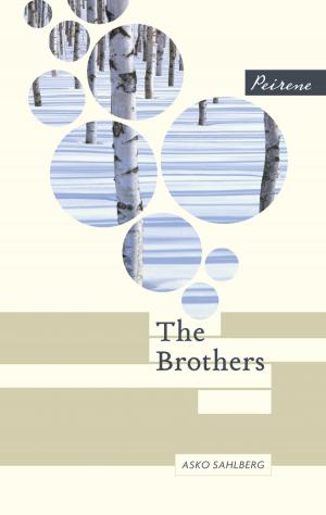 Cover of the book The Brothers by Birgit Vanderbeke